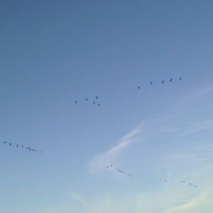 Meet your Posher, Nhu nguyen